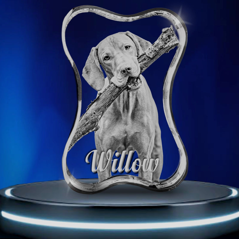 dog bone, pet gifts, pet lovers, dog treats, love your dog, d for dog, solidcrystals.co.uk, uk gifts, dog gift, dog bone, dog food, dog memorial, pet gift ideas