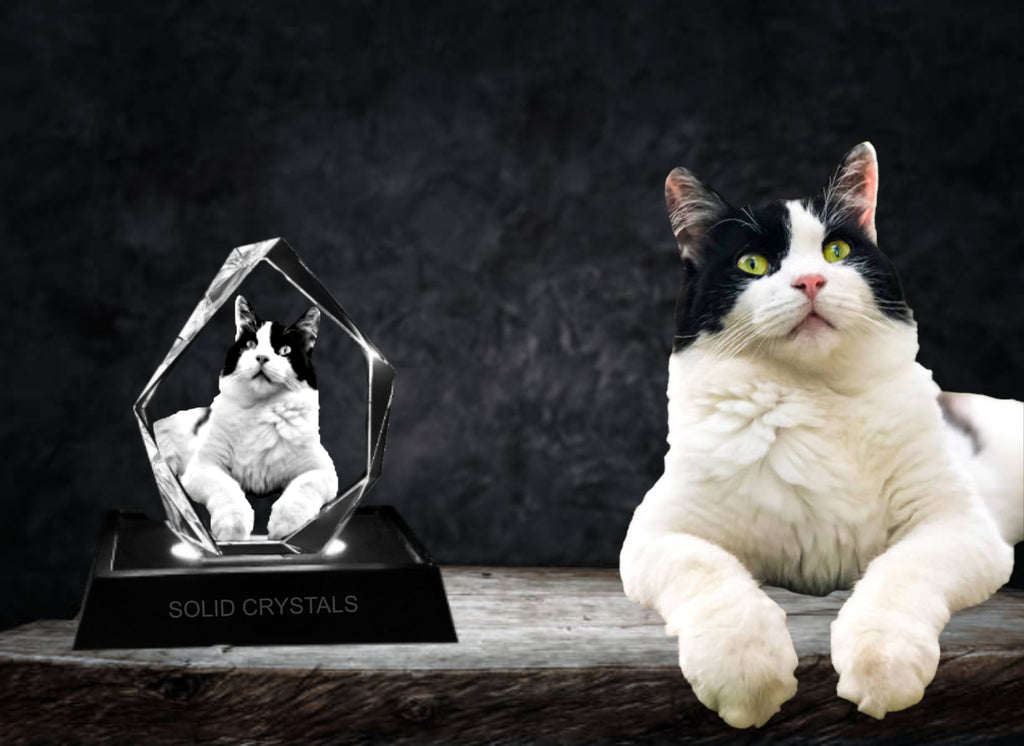 Prestige Crystal, Iceberg Crystal, 3D Crystal Engraving, Personalized Glass Gifts, Laser Etched Crystals, Custom Photo Crystals, 3D Pet Memorials, Engraved Crystal Keepsakes, Photo Engraved Gifts, Crystal Art Décor, 3D