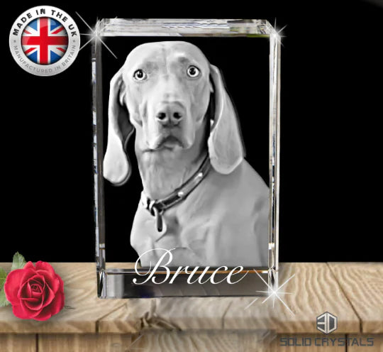 3D Rectangle Large