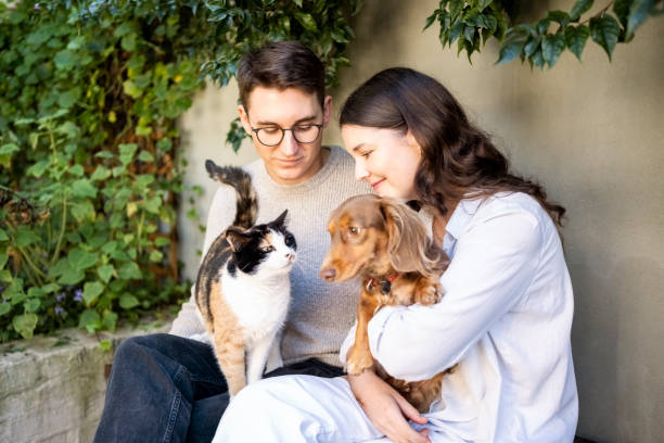 5 Thoughtful Pet Gifts for Their Devoted Owners: Solid Crystals Edition