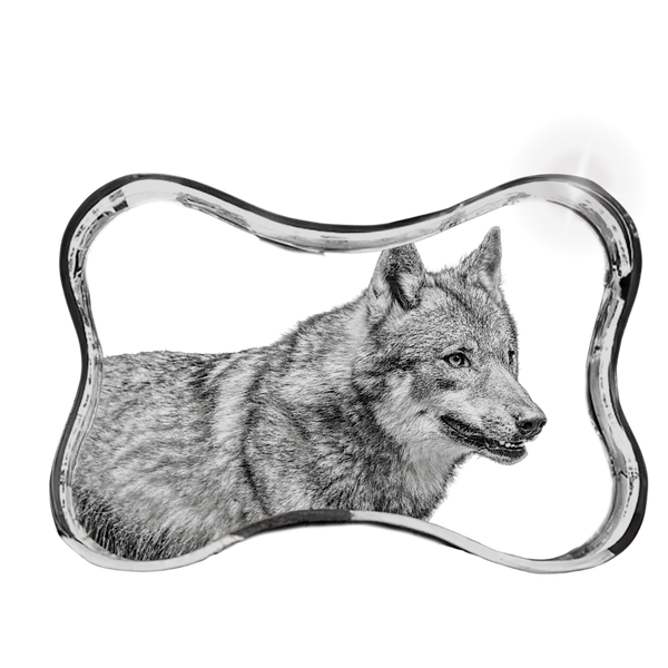 Pet Gifts