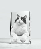 plaque, crystal gift, crystal plaque, 