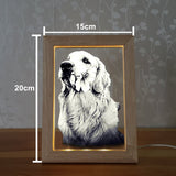 2D LED Light-Up Glass Picture Frame - Solid Crystals | 3D Photo Crystal Shop | Laser engraved Glass Awards & Trophies