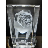 3D Pet Photo Crystal  | Rectangle | Bevelled Edges - Solid Crystals | 3D Photo Crystal Shop | Laser engraved Glass Awards & Trophies